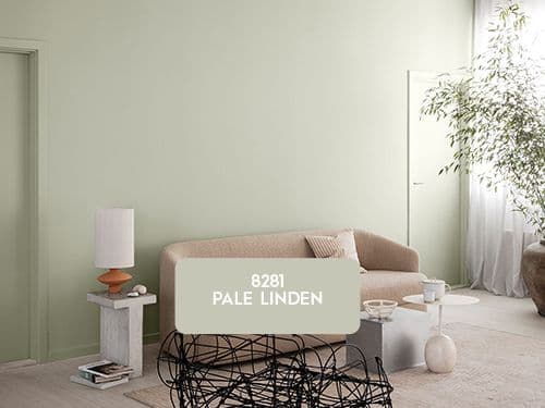 8281-pale-linden.jpg